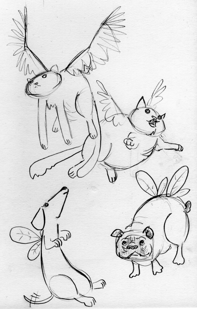 catses